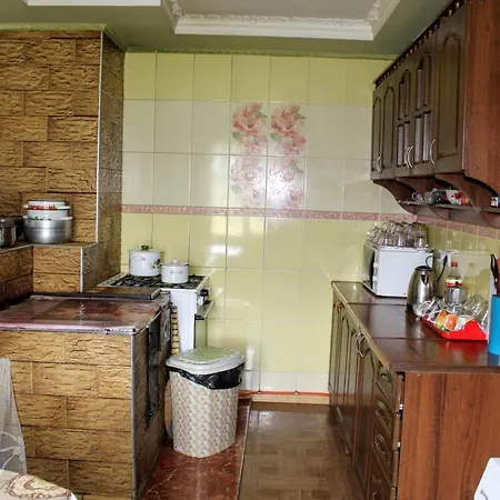 Guest house у василини