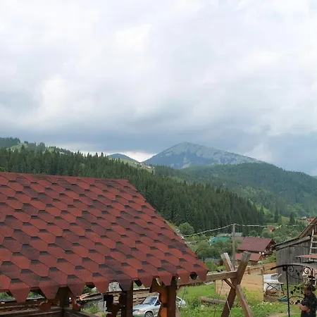 у василини Yablunytsya