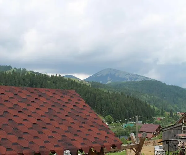у василини Yablunytsia