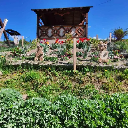у василини 3*