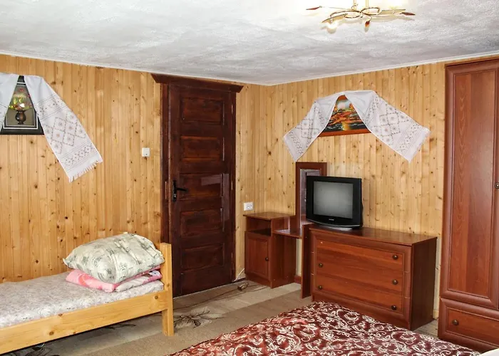 у василини 3*